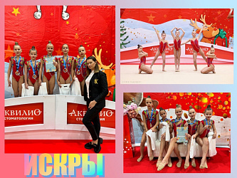 Региональный турнир по художественной гимнастике «ЗИМНИЕ ЗВЁЗДОЧКИ»